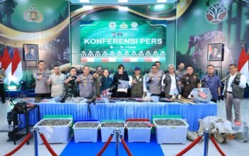 15 Tersangka Jaringan Perburuan Gajah Sumatera Lintas Provinsi Ditangkap Polisi